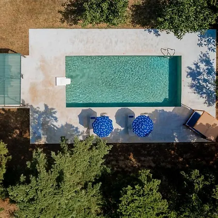 Lenna's Zante Vasilikos (Zakynthos)